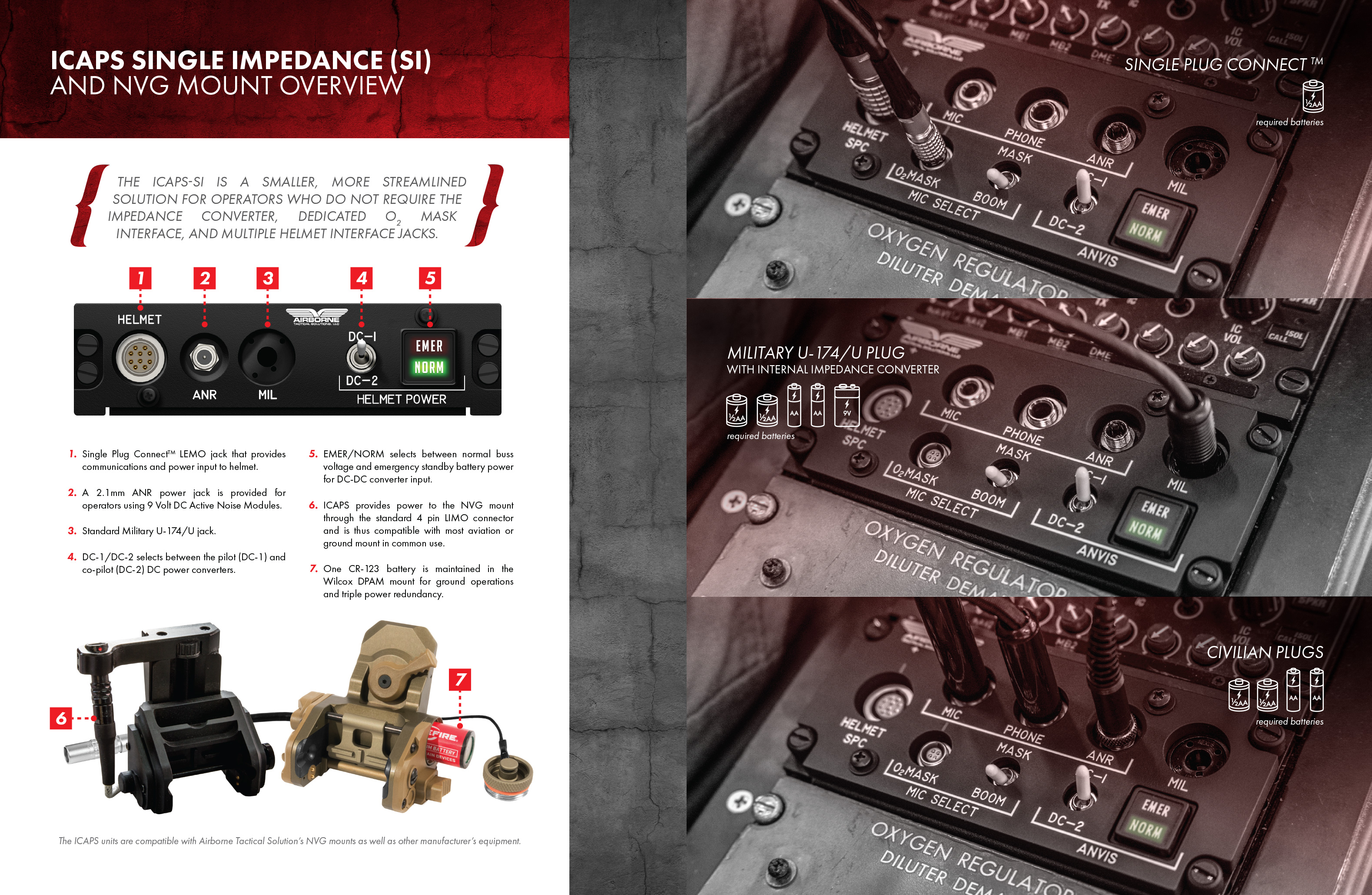 icaps_brochure_003